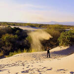 Contorno biográfico II