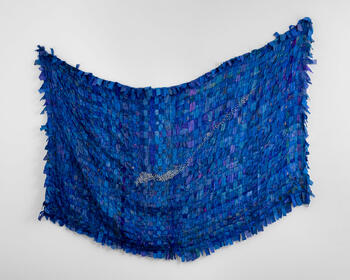 Guardianes de la selva yéndose al cielo