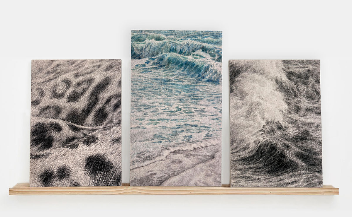  ¿Dónde habita el rebelde? 