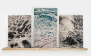  ¿Dónde habita el rebelde? 