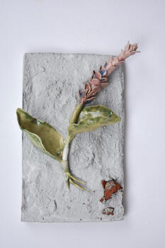 N.7. Serie: Estetica del imprevisto