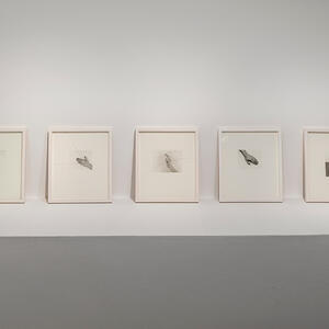 Beatriz Gil Galería