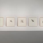 Beatriz Gil Galería