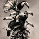 Carmen tropicalia