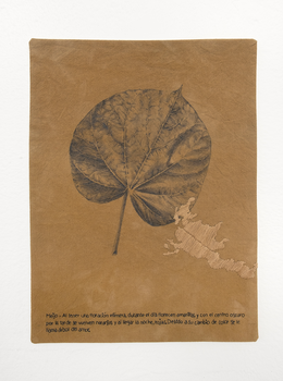 Sin título seria Riturales