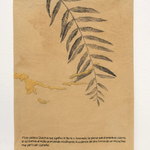 Sin título. Serie Rituales