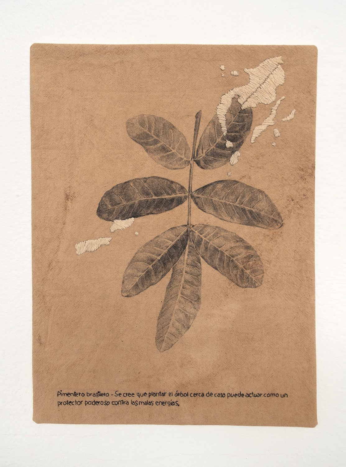 Sin título. Serie Rituales