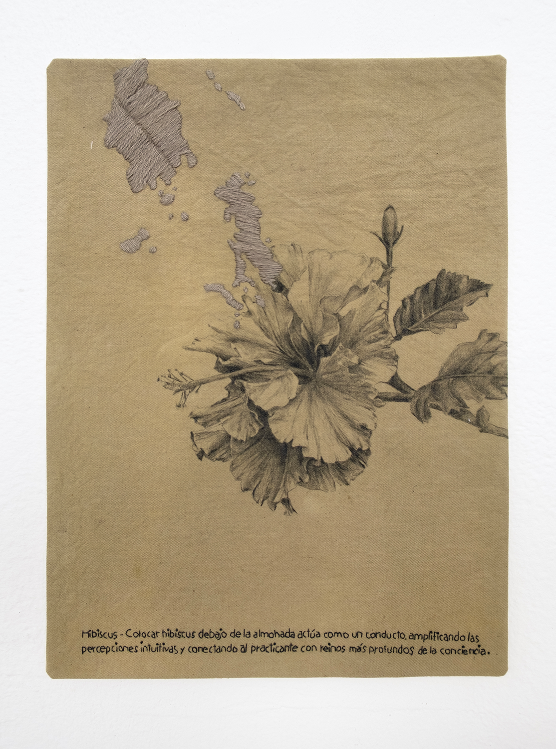 Sin título. Serie Rituales