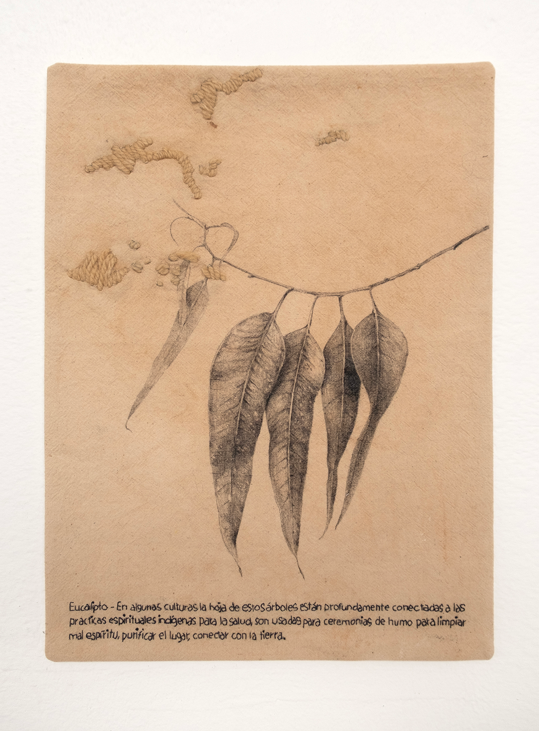 Sin título. Serie Rituales