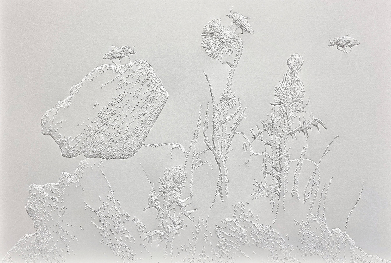 Mi soledad y el tiempo