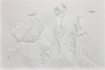 Mi soledad y el tiempo