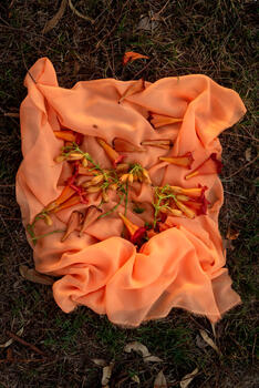 Flores de Campo 