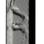 Formes en contorsion