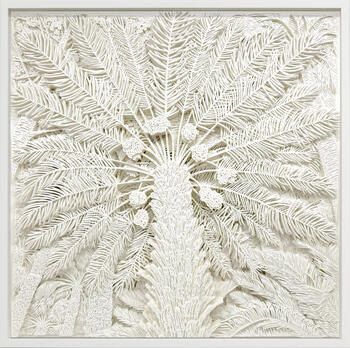 Palmeras de dátiles