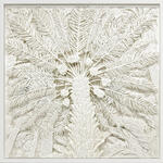 Palmeras de dátiles