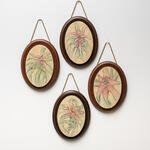 Estudios de Karaguatá, Guembepi, Karanday - 10 piezas 