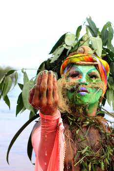 aquatic flora, elementary series