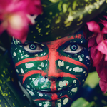 power of tajá, elementary series