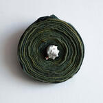 Espiral de caracol # 2