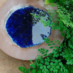 Acuifero Guarani fósil