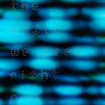 The magic we need right now