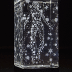 "Historia Natural, 5"