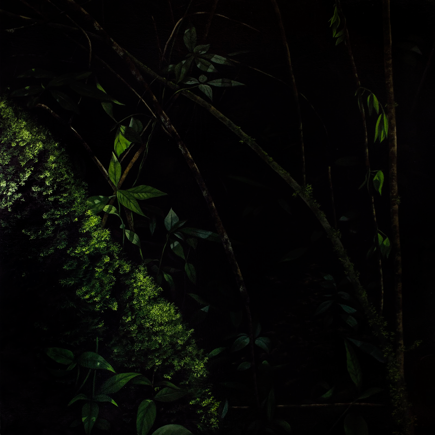 Thicket VI / Matorral VI