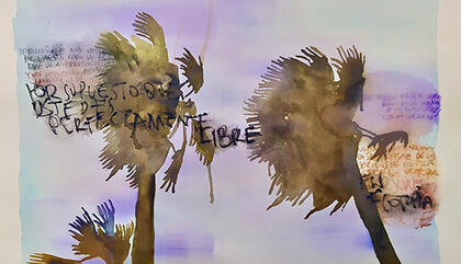 ¨Curatorial and collections globalization¨