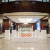 Pop-up Exhibition by artist Priscila Schott at JW Marriott Miami