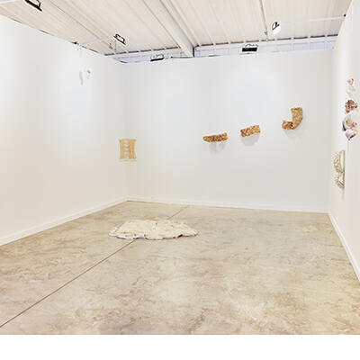 Proyecto H - Mexico City, Mexico / Artist: Paloma de la Cruz