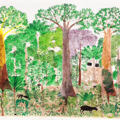 Abel Rodriguez. Monte Firme, 2020