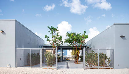 RUBELL Museum