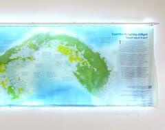 Cúmulus: Ten Years of Ecology and Collaboration in Panama