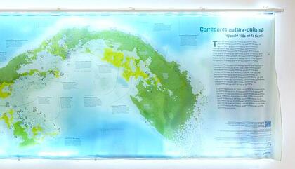 Cúmulus: Ten Years of Ecology and Collaboration in Panama