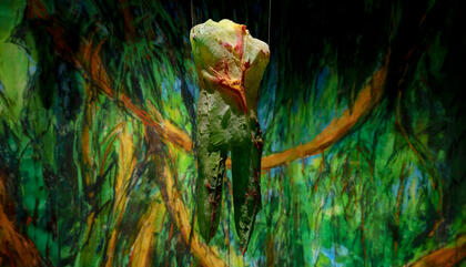 Panama's Debut at the Venice Biennale