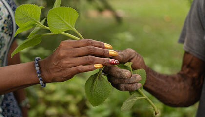 The value of sovereignty in Mr. Brown’s garden, exhibition at the Interoceanic Canal Museum.