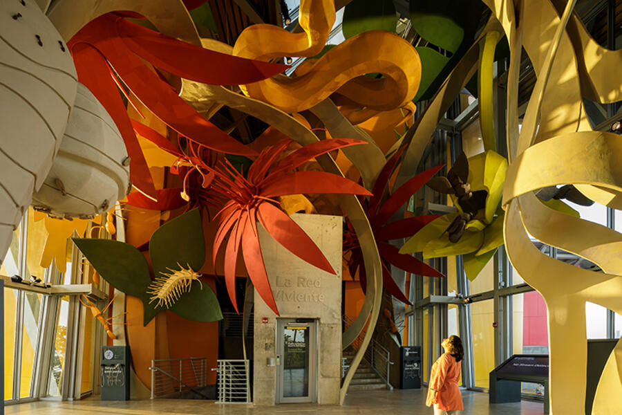 The Biomuseo, science and architecture of the first level