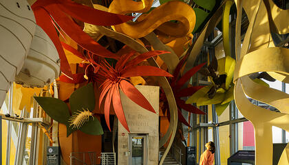 The Biomuseo, science and architecture of the first level