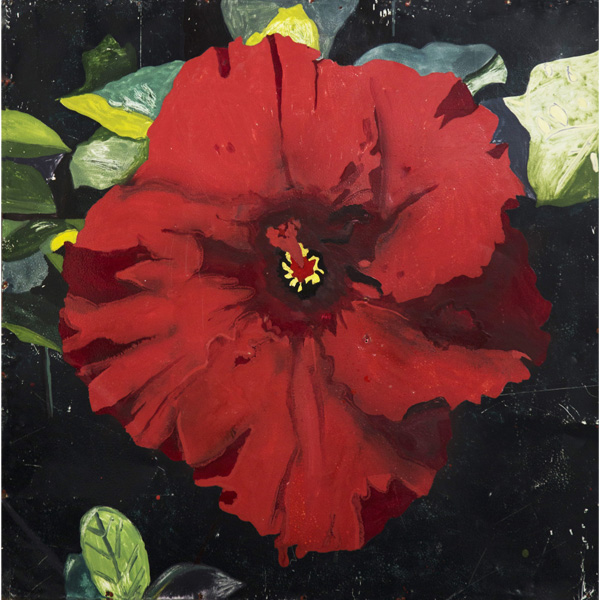 Rosa china roja