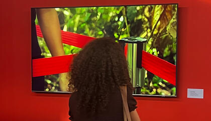 Video Project | Donna Conlon: Fragile Shelters