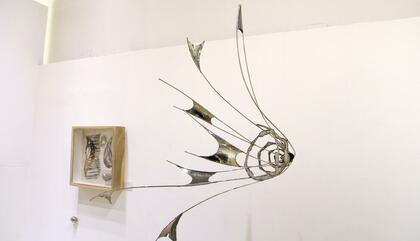 Metamorphosis. Juan Pablo Pistilli Miranda at ViedmaArte