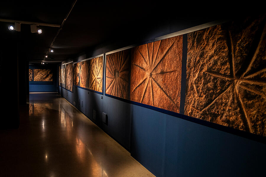 Fernando Allen Revisits Paraguayan Rock Engravings Heritage at Altamira