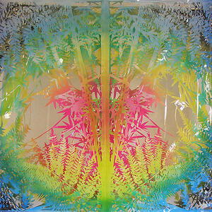 Aina Nowack /AAC Galería de Arte