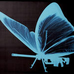 MachinegunFly