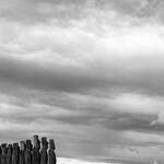 Rapa Nui XII