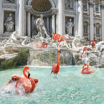 Fontana