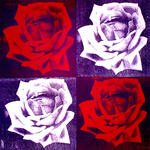 Four Roses (Purple)