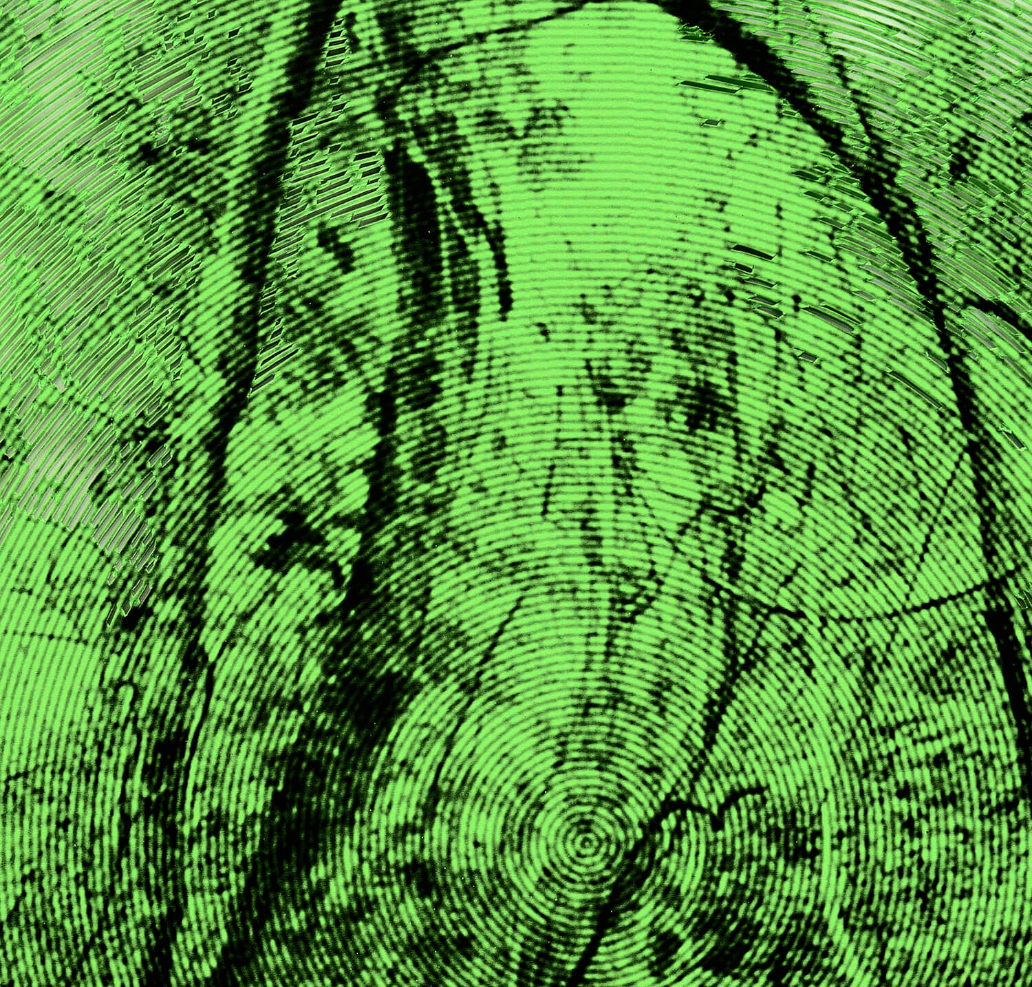 Delimitacion de campo
