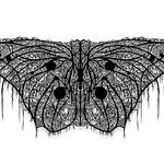 Mariposa oscura