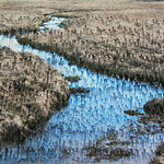 Landscape VII